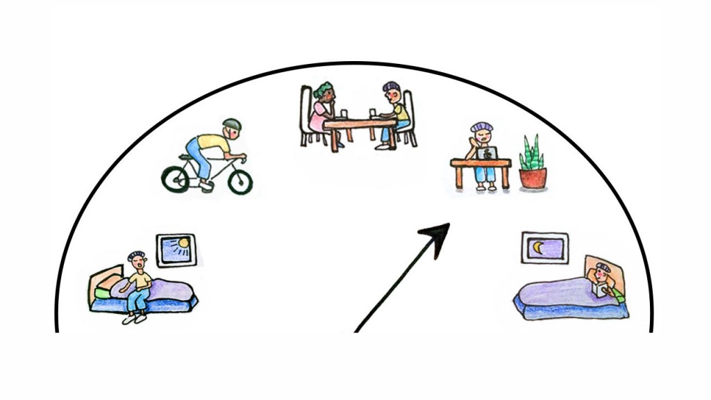 The science of circadian clocks [Infographic] Dormancy