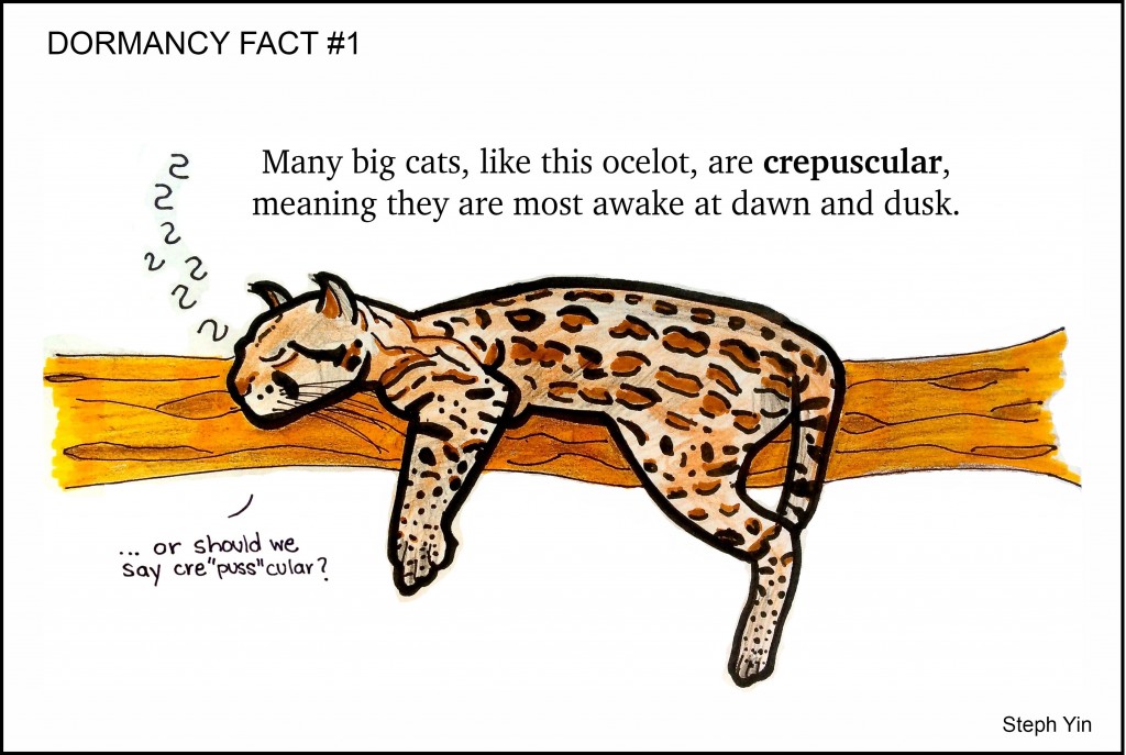 crepuscular-ocelot-cartoon