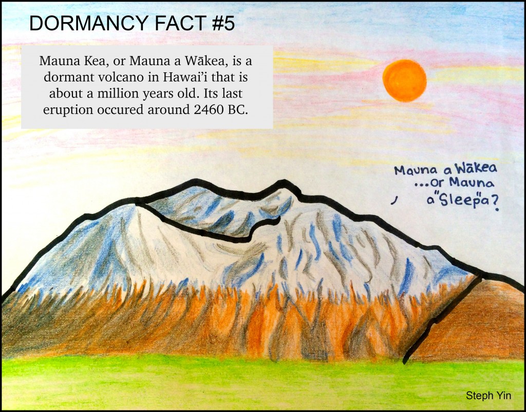 mauna-kea-cartoon