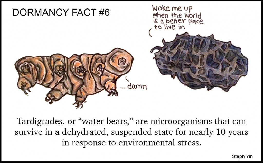 tardigrades-cartoon2